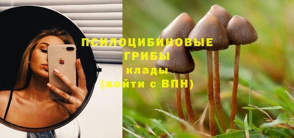 эйфоретик Верхний Тагил