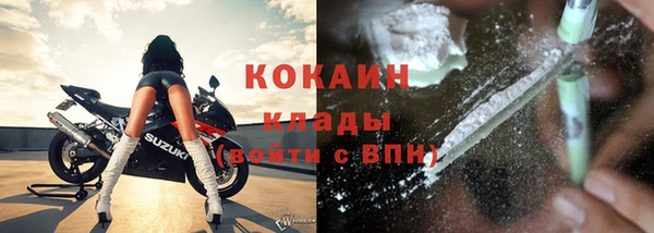 прущие крисы Бородино
