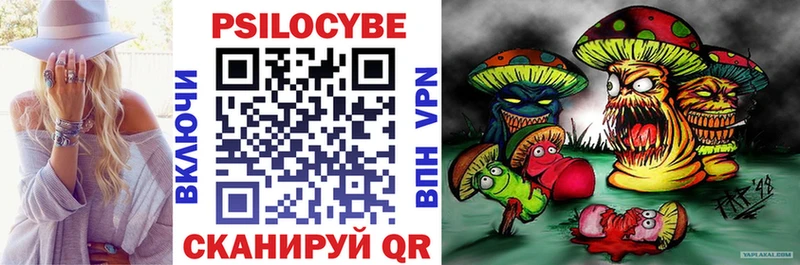 Галлюциногенные грибы Psilocybe  Горячий Ключ 
