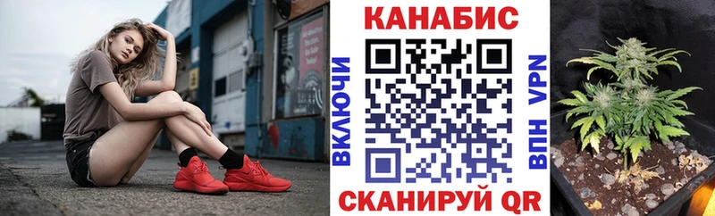 где купить наркоту  Горячий Ключ  Марихуана конопля 